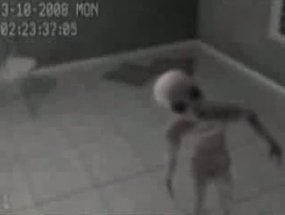 Alien in Zelle
