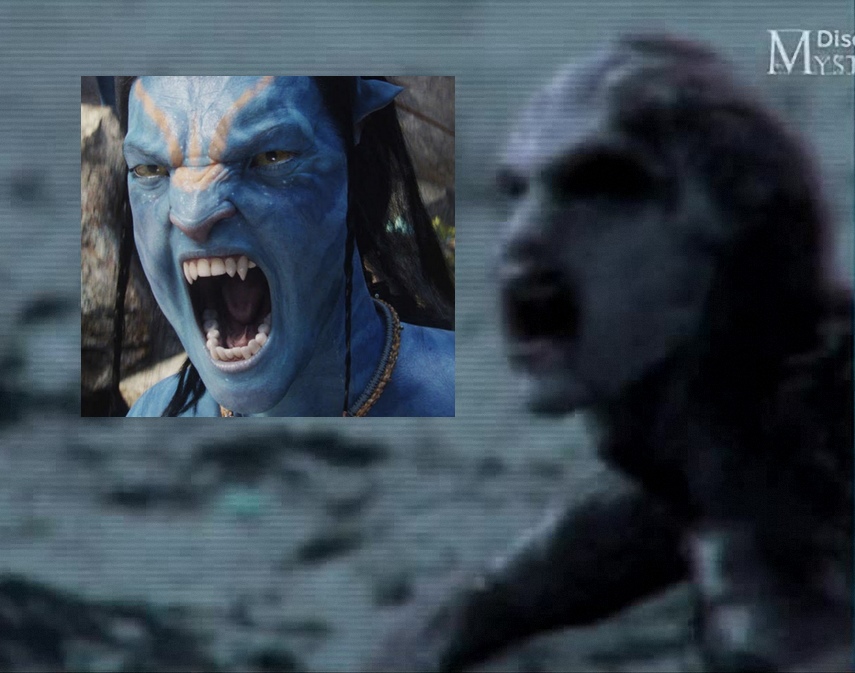 Handyivideo und Avatar screenshot